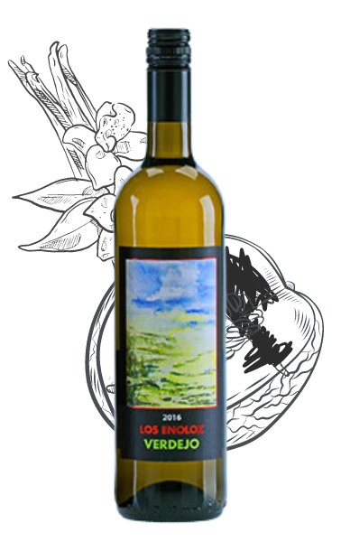 Los Enoloz Verdejo Joven